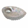grande coquille d'ormeau