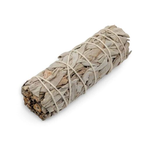 sauge blanche