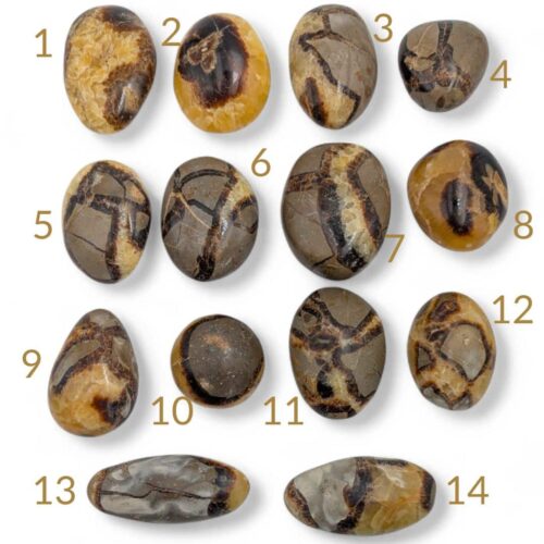 galet septaria (1)