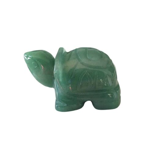 Tortue Aventurine