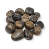 stromatolite