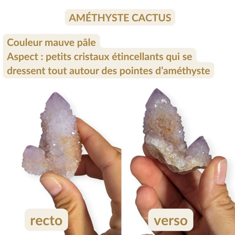 lot qui brille (2)