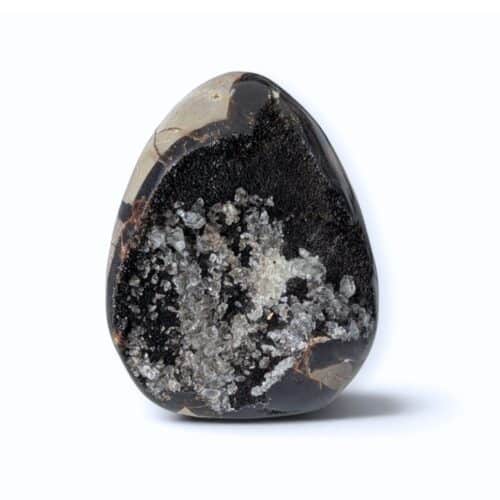 oeuf septaria sauvage 708g