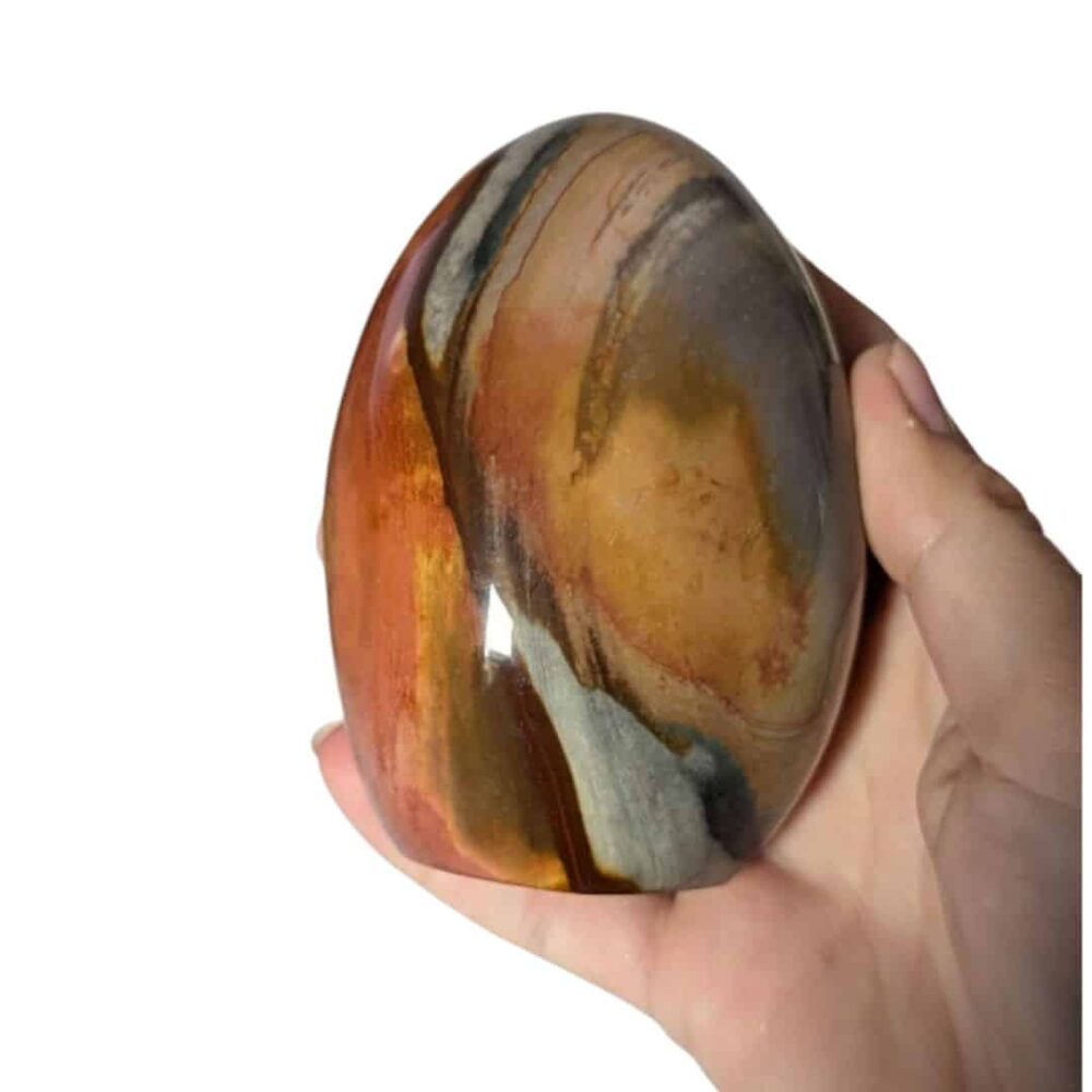 Jaspe polychrome