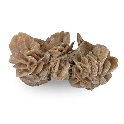 rose des sables 535g