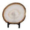 tranche d'agate naturelle 15x13cm