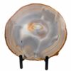 tranche d'agate naturelle 20x19cm