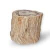 tronc bois fossile 1kg029