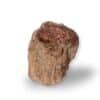 tronc bois fossile 526g (2)
