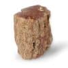 tronc bois fossile 768g