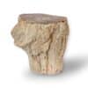 tronc bois fossile 959g