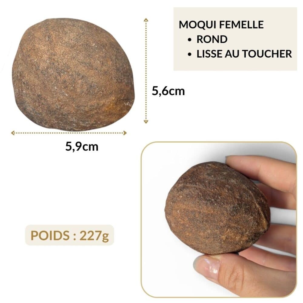 gros moqui femelle