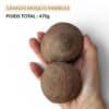 grosse paire moquis marbles