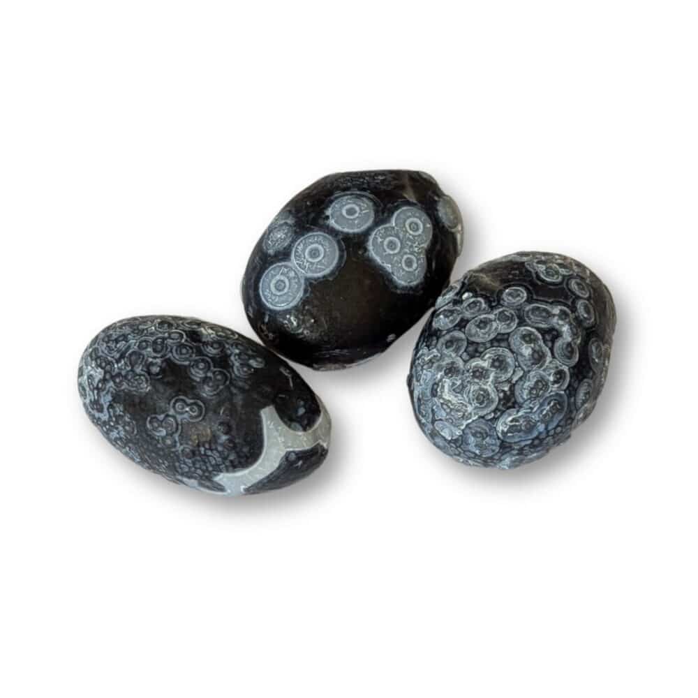 achat agate de gobi