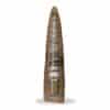 grande statut fossile orthocéras 27cm